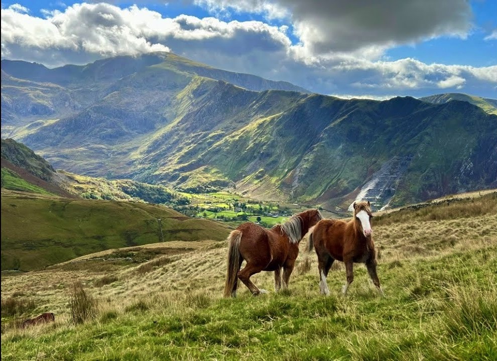 Experience More - Snowdonia National Park